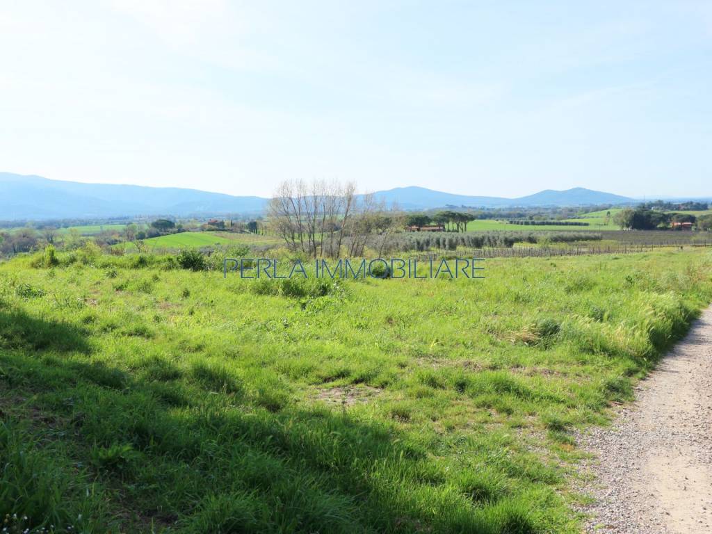 Rustico / casale a Roccastrada in Strada Provinciale di Montemassi - Foto 5