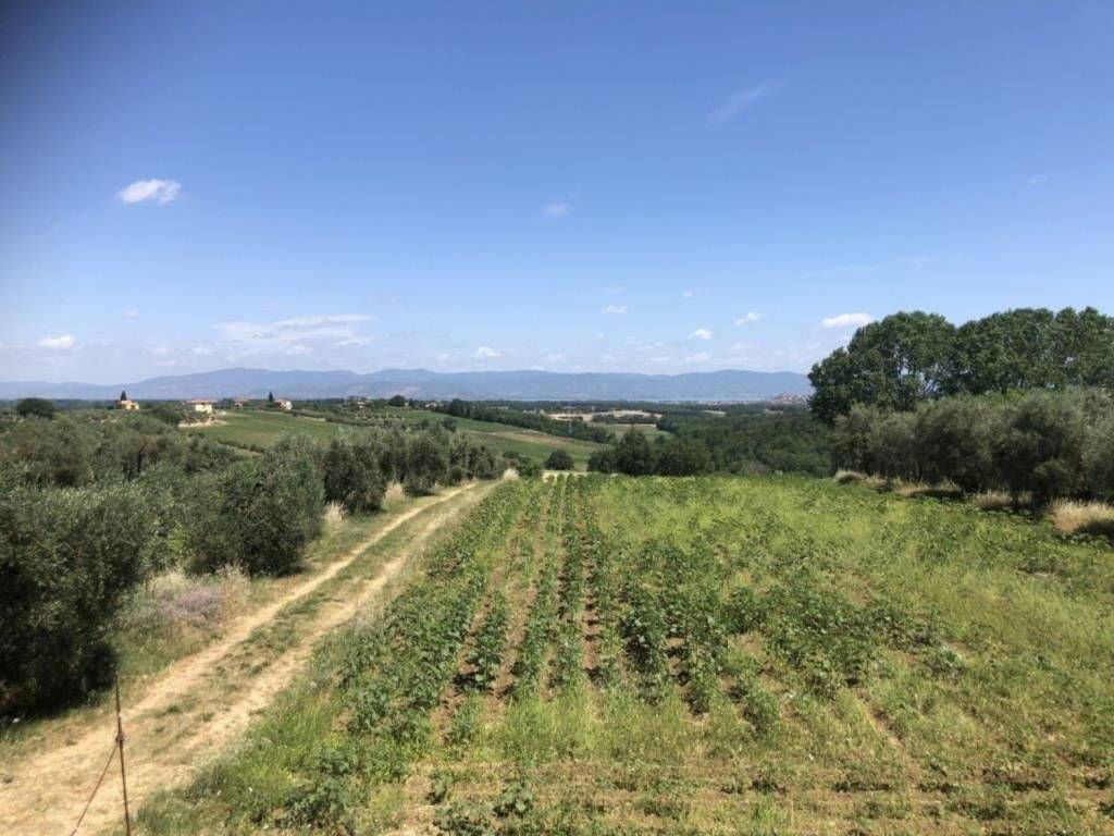 Villa a Castiglione del lago in Via San Biagio s.n.c - Foto 3