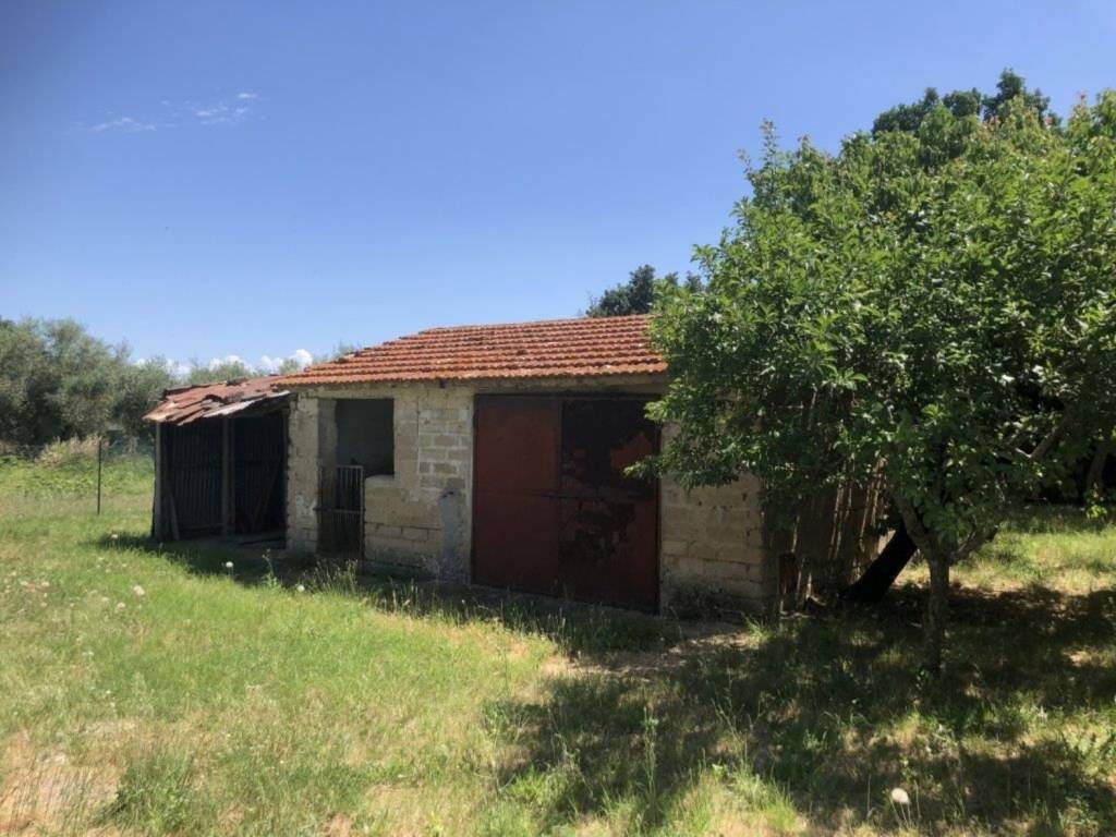 Villa a Castiglione del lago in Via San Biagio s.n.c - Foto 4