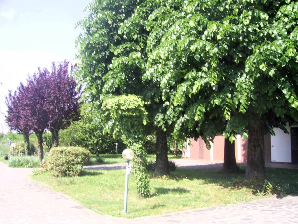 Villa a Porto mantovano in Via Pietro Treves, 145 - Foto 5