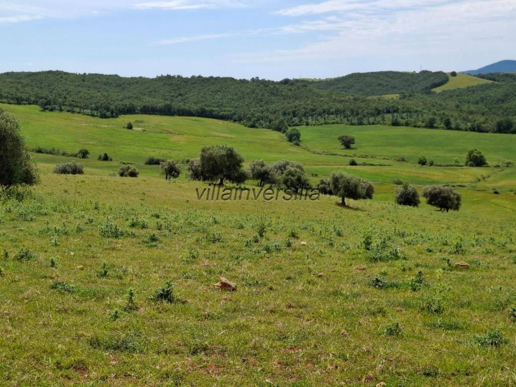 Terreno a Manciano - Foto 2