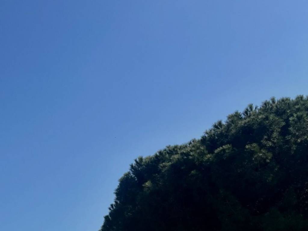 Appartamento a Cagliari in Via Giambattista Tiepolo - Foto 3