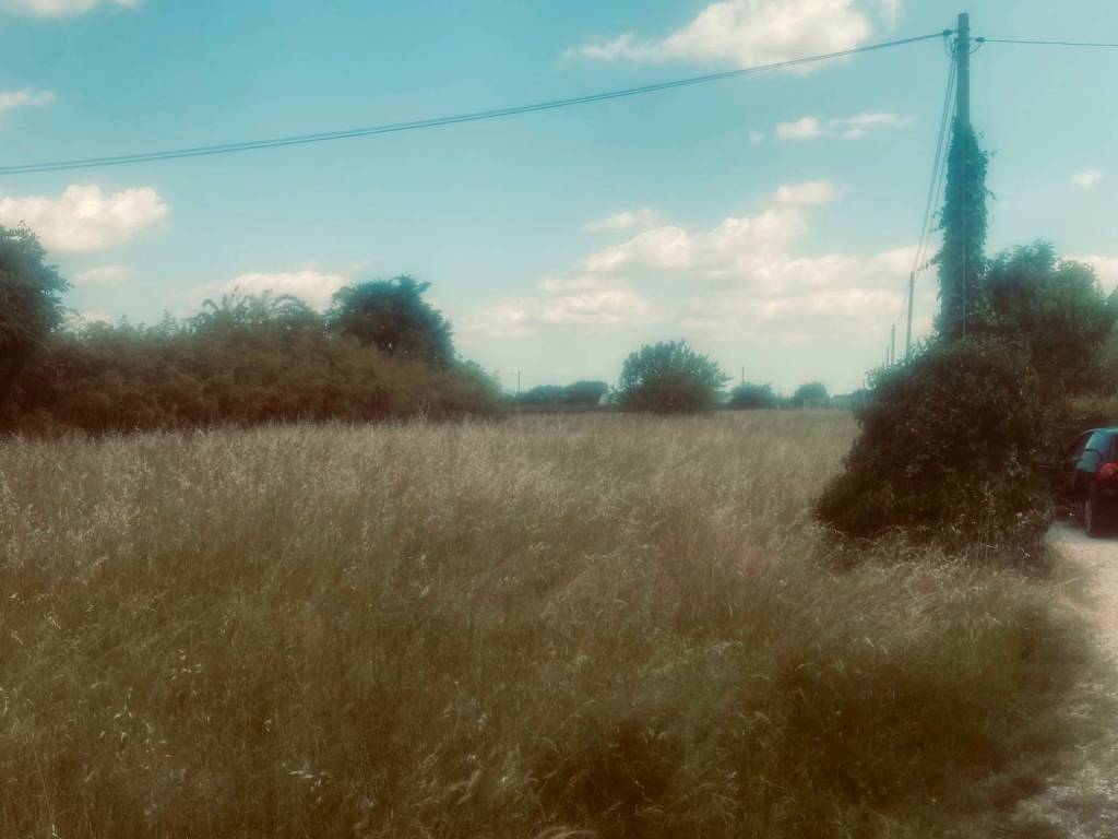 Terreno a Villafranca di verona in Località La Levà - Foto 2