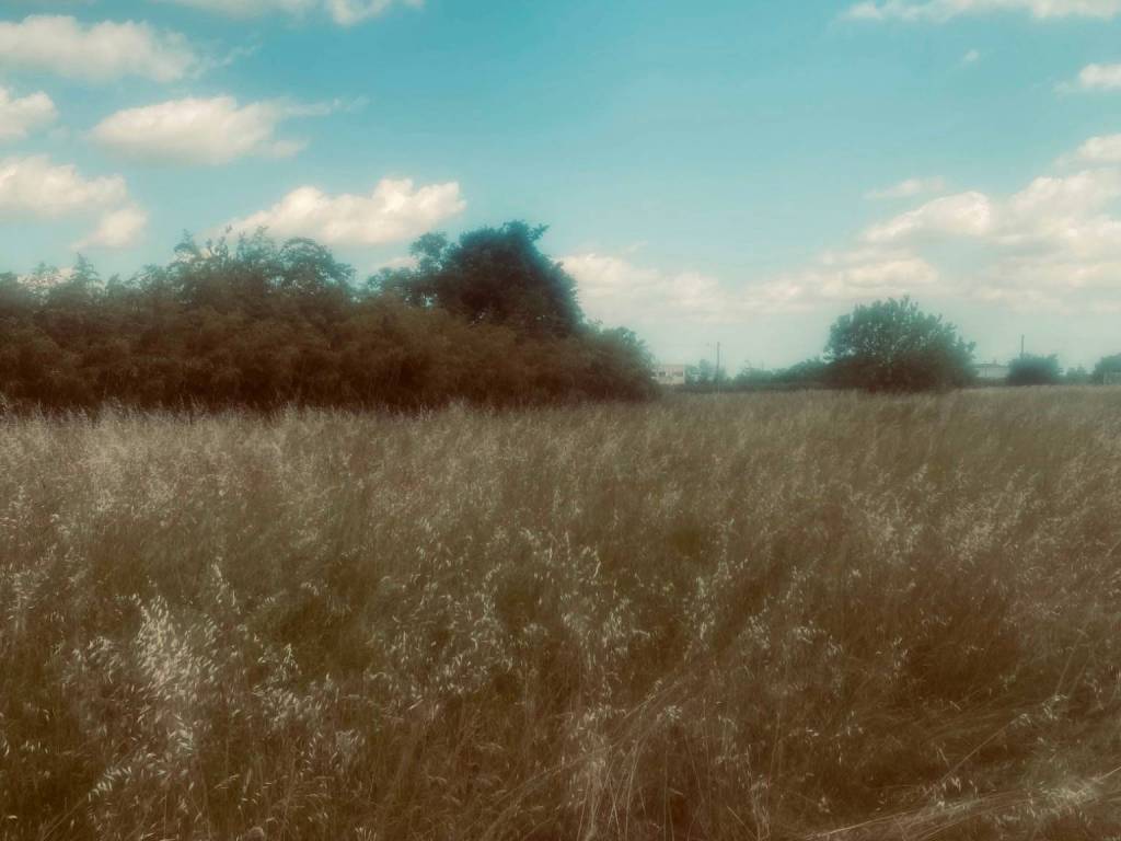 Terreno a Villafranca di verona in Località La Levà - Foto 4