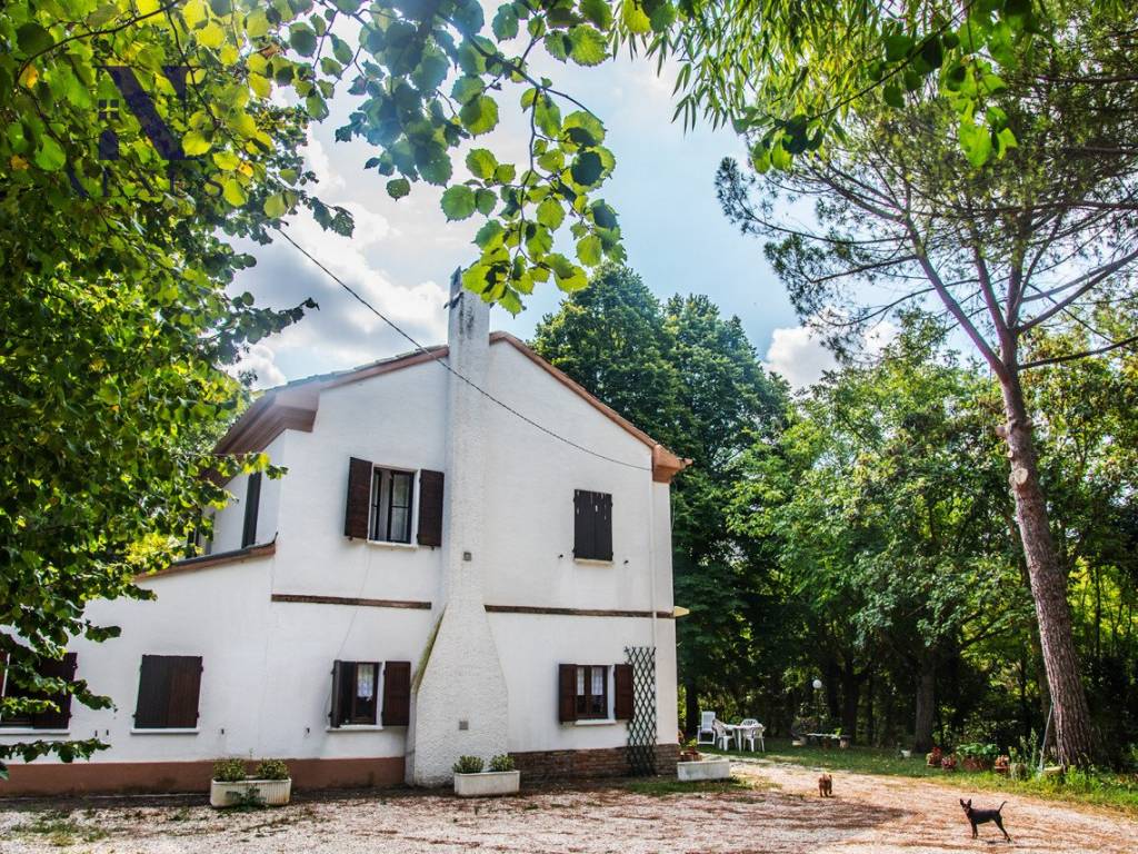 Rustico / casale a Mondavio - Foto 4