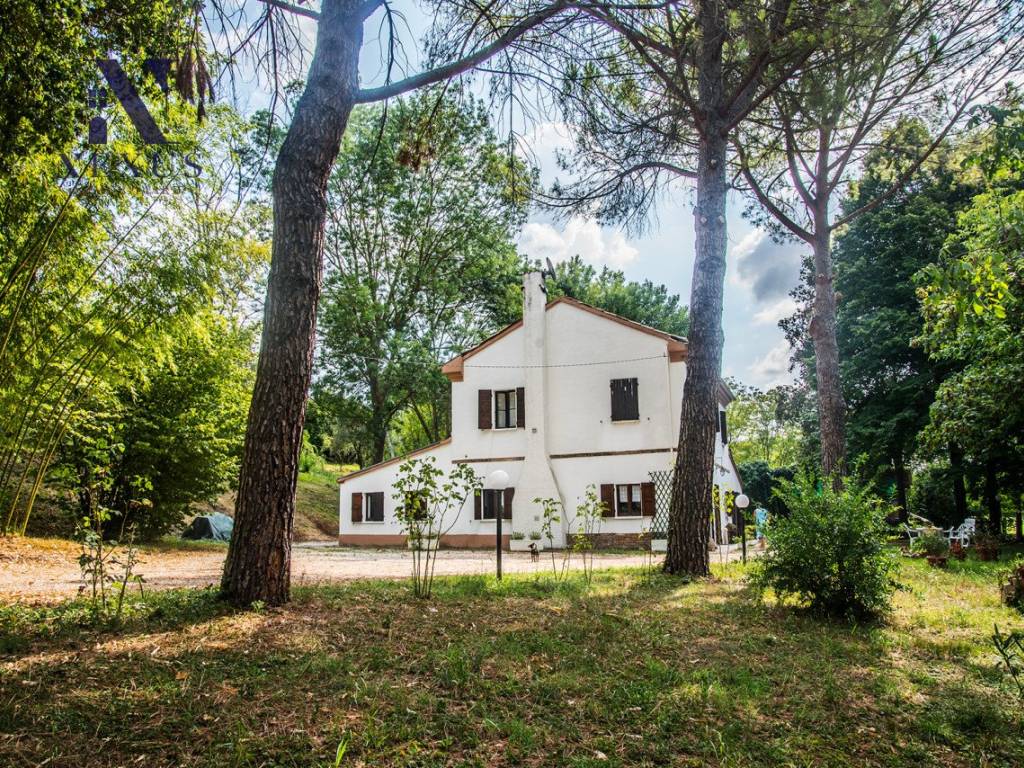 Rustico / casale a Mondavio - Foto 5