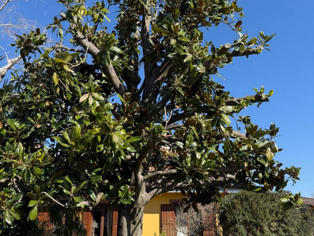 Villa a Fiumicello villa vicentina in Via Leandro Viezzi, 26 - Foto 5