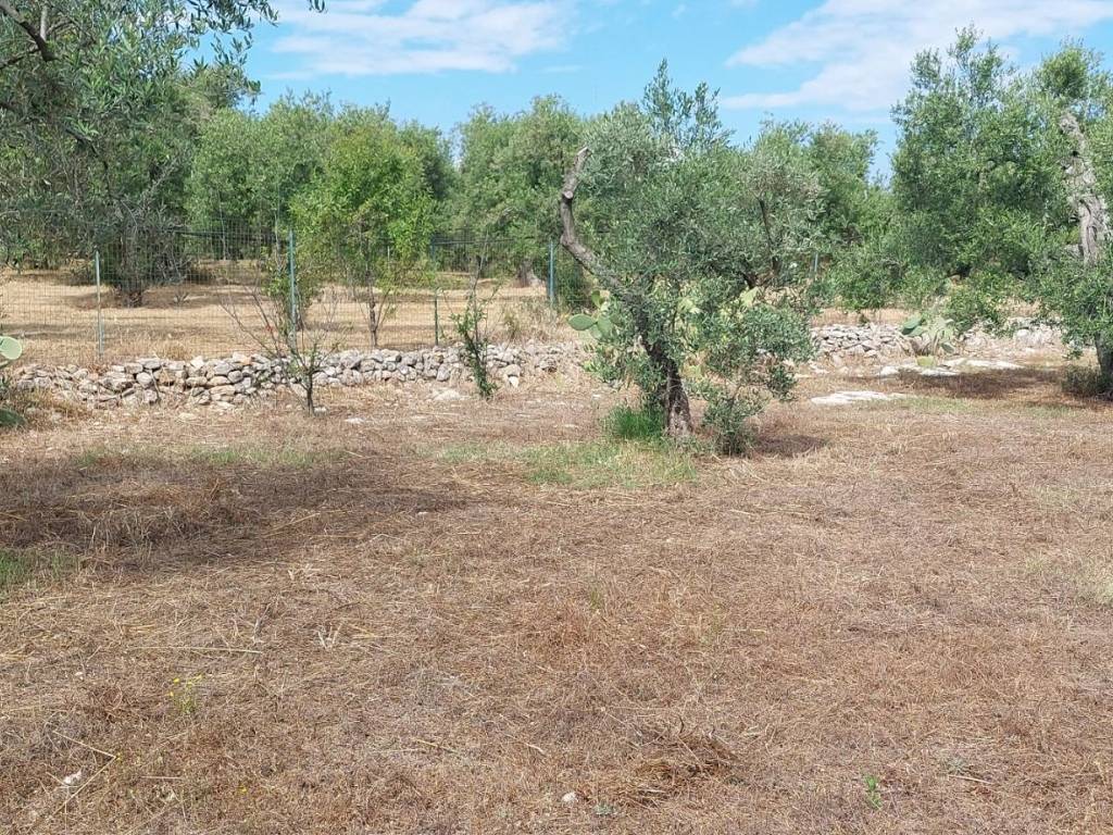 Terreno a Trani in Strada Don Tito 1 - Foto 2