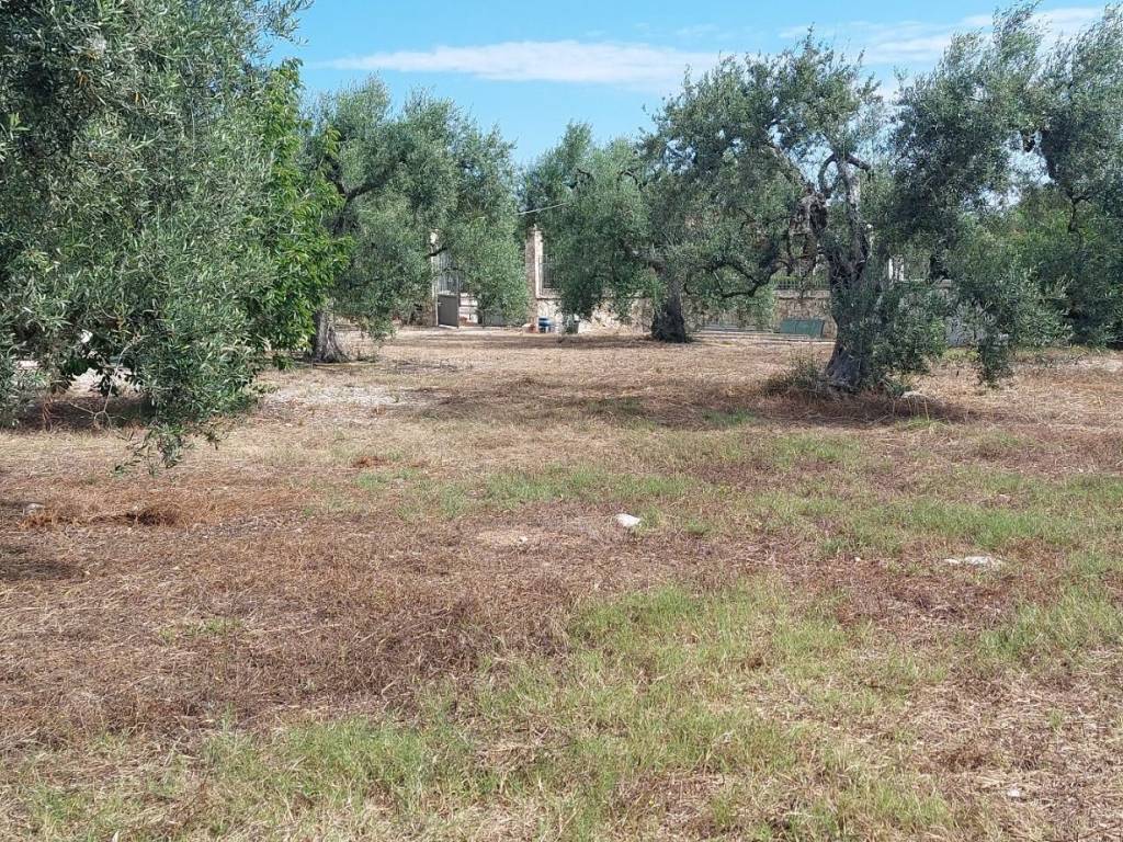 Terreno a Trani in Strada Don Tito 1 - Foto 3