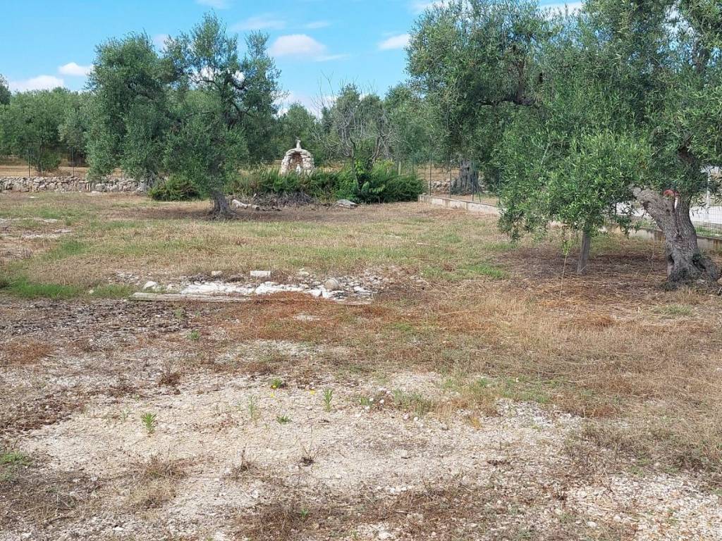 Terreno a Trani in Strada Don Tito 1 - Foto 4