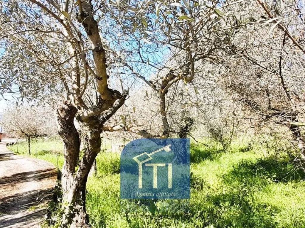 Villa a Cervaro in Via Noceromana, 23 - Foto 4
