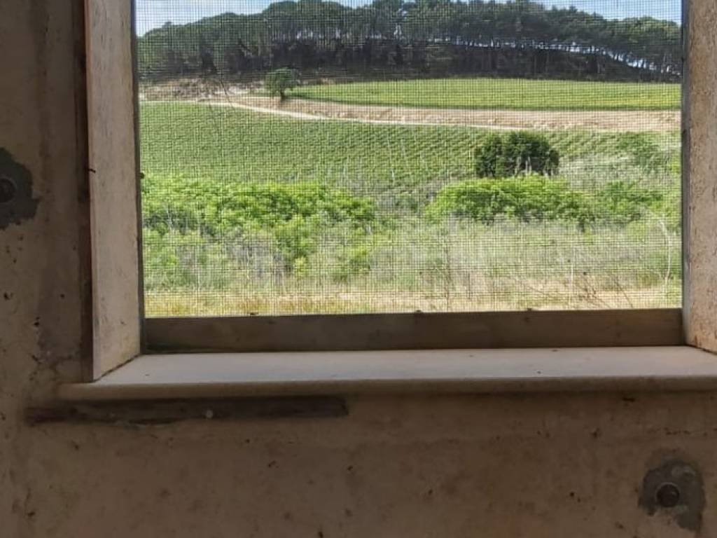 Rustico / casale a Santa margherita di belice in SS188 - Foto 3