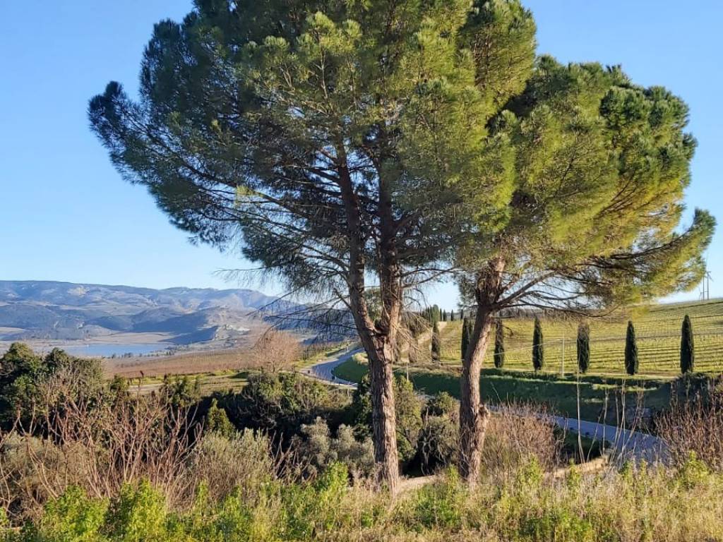 Rustico / casale a Santa margherita di belice in SS188 - Foto 4