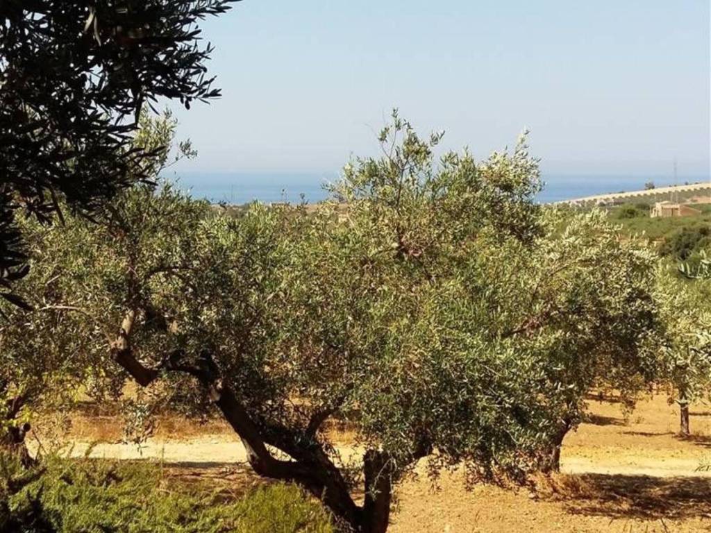 Rustico / casale a Sciacca in Contrada Timpi Russi - Foto 2