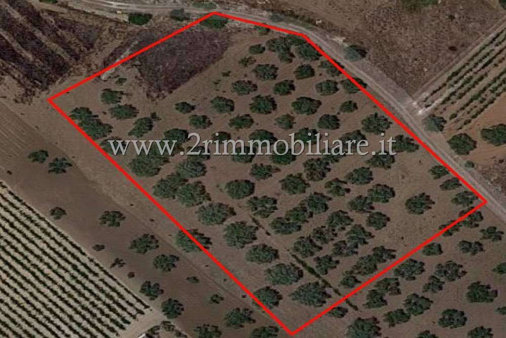 Terreno a Mazara del vallo in via Renato Gattuso - Foto 3