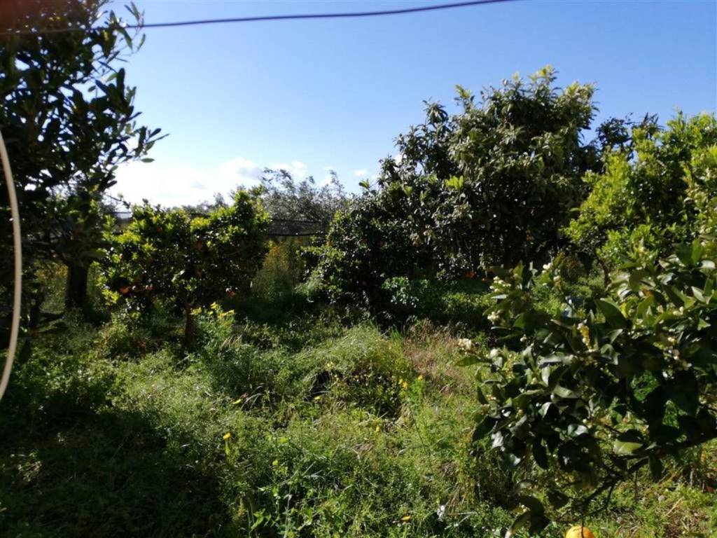 Villa a Sciacca in Contrada Castellana - Foto 2