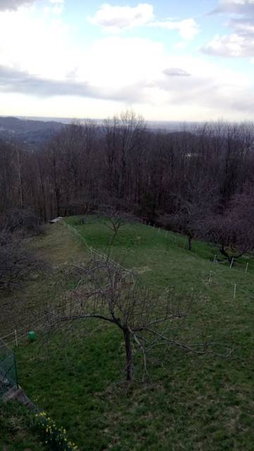 Terreno a Valdilana in Via Roma, 58 - Foto 4