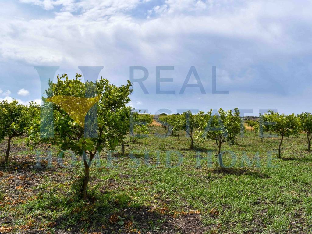 Villa a Noto in Via Tommaso Fazello, 228 - Foto 3