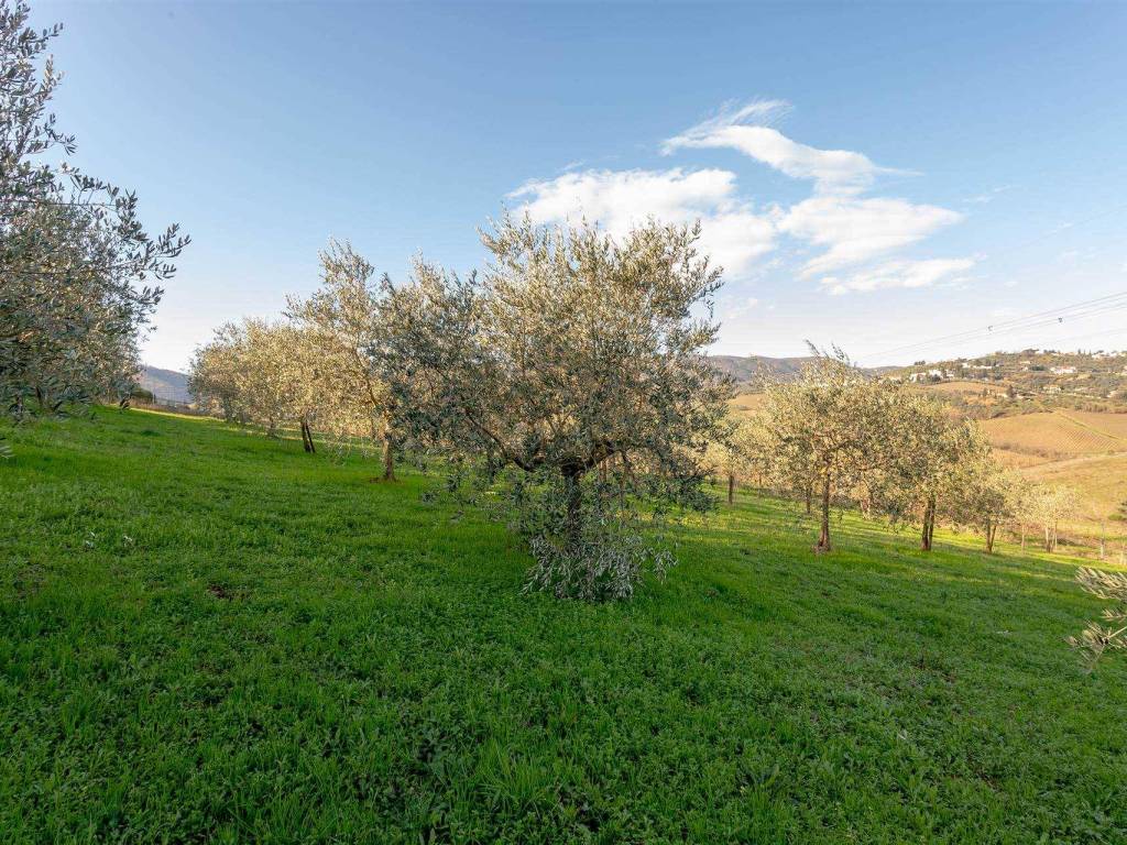 Terreno a Carmignano in via dello Sport - Foto 4