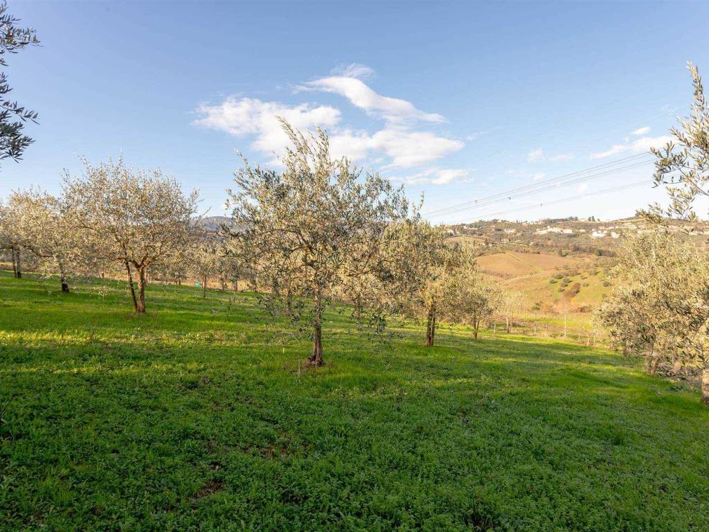 Terreno a Carmignano in via dello Sport - Foto 5