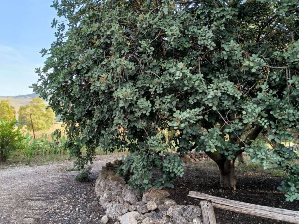 Terreno a Caltanissetta - Foto 2