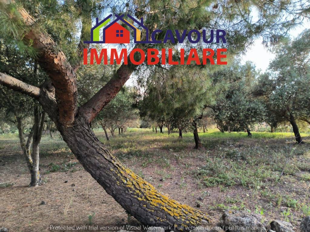 Terreno a Caltanissetta - Foto 3