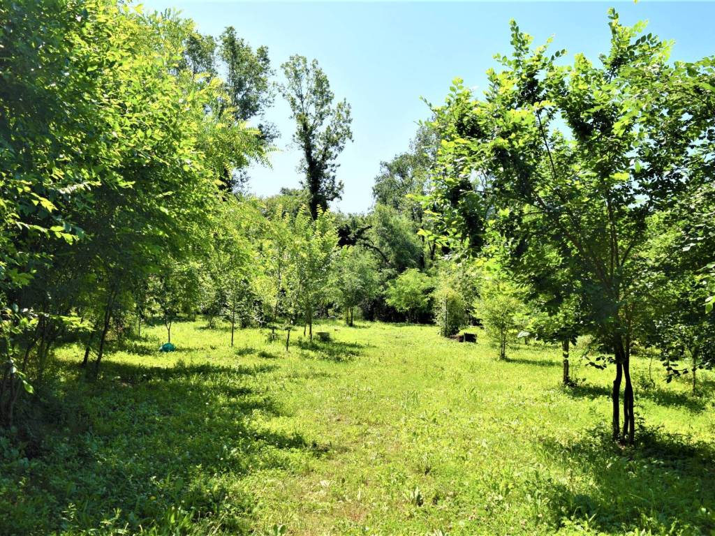 Immobile a Gorizia in Via Brigata Sassari - Foto 3