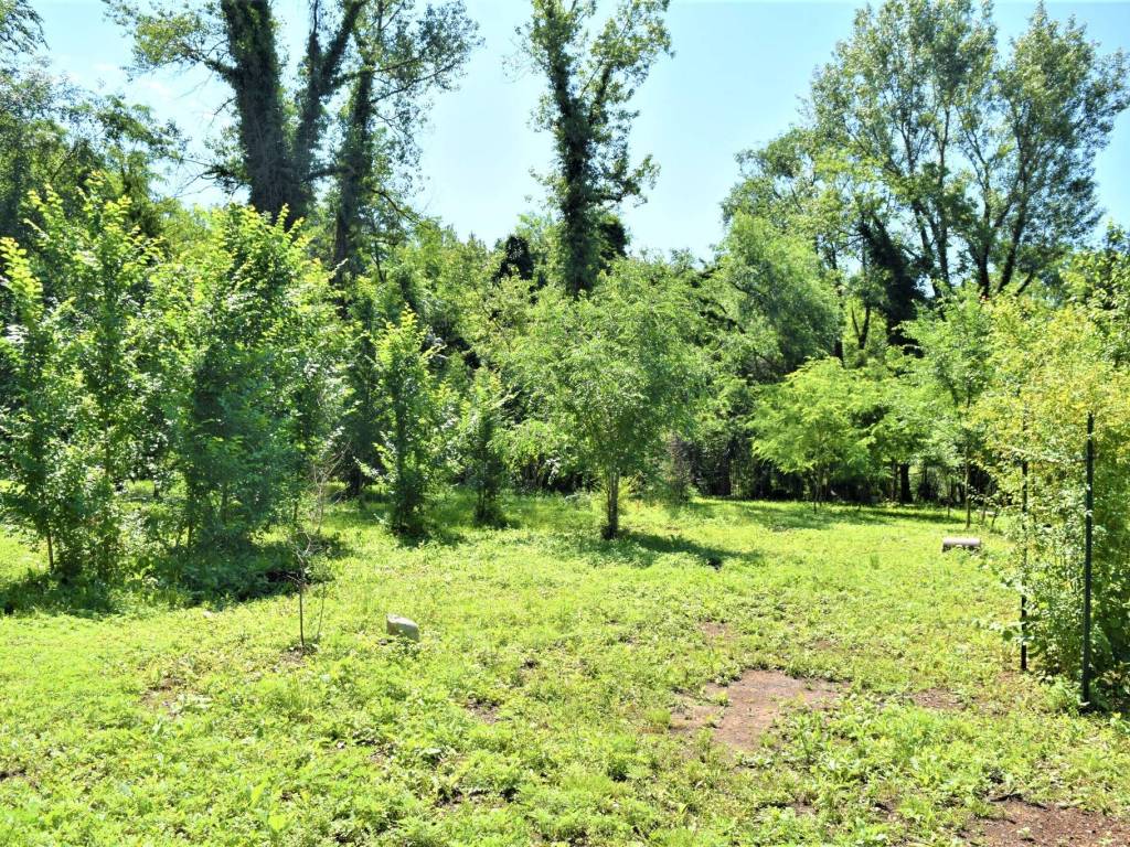 Immobile a Gorizia in Via Brigata Sassari - Foto 4