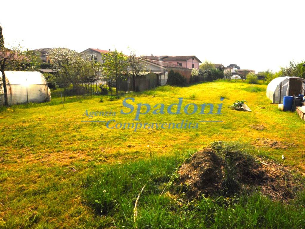 Terreno a Massa e cozzile in Via Vetriano - Foto 4