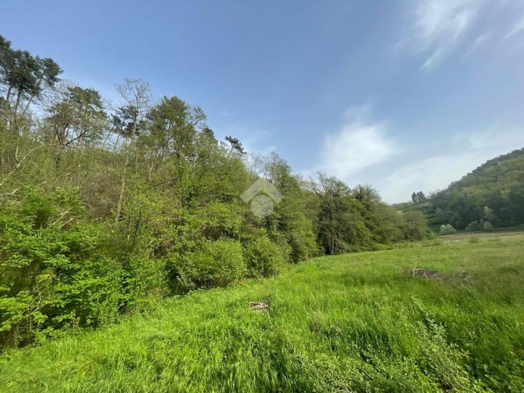 Terreno a Pieve a nievole in Bosco Via Giacomo Matteotti, 84 - Foto 3