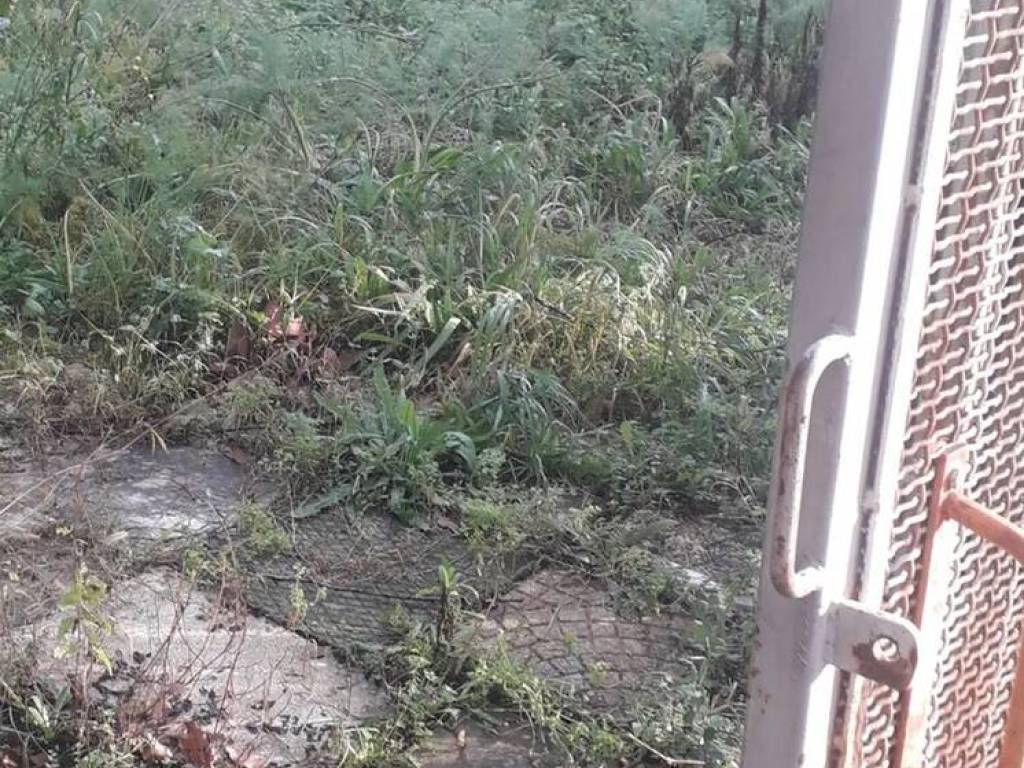 Terreno a Baronissi in Via Ferreria S.N.C. - Foto 4