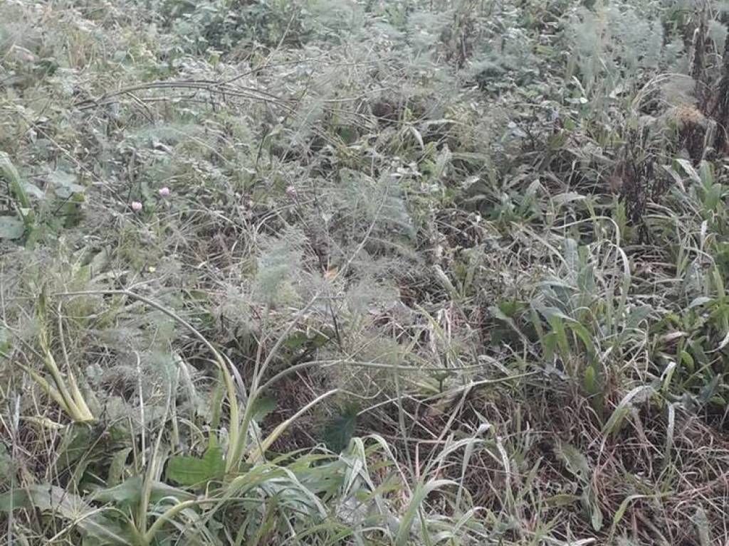 Terreno a Baronissi in Via Ferreria S.N.C. - Foto 5