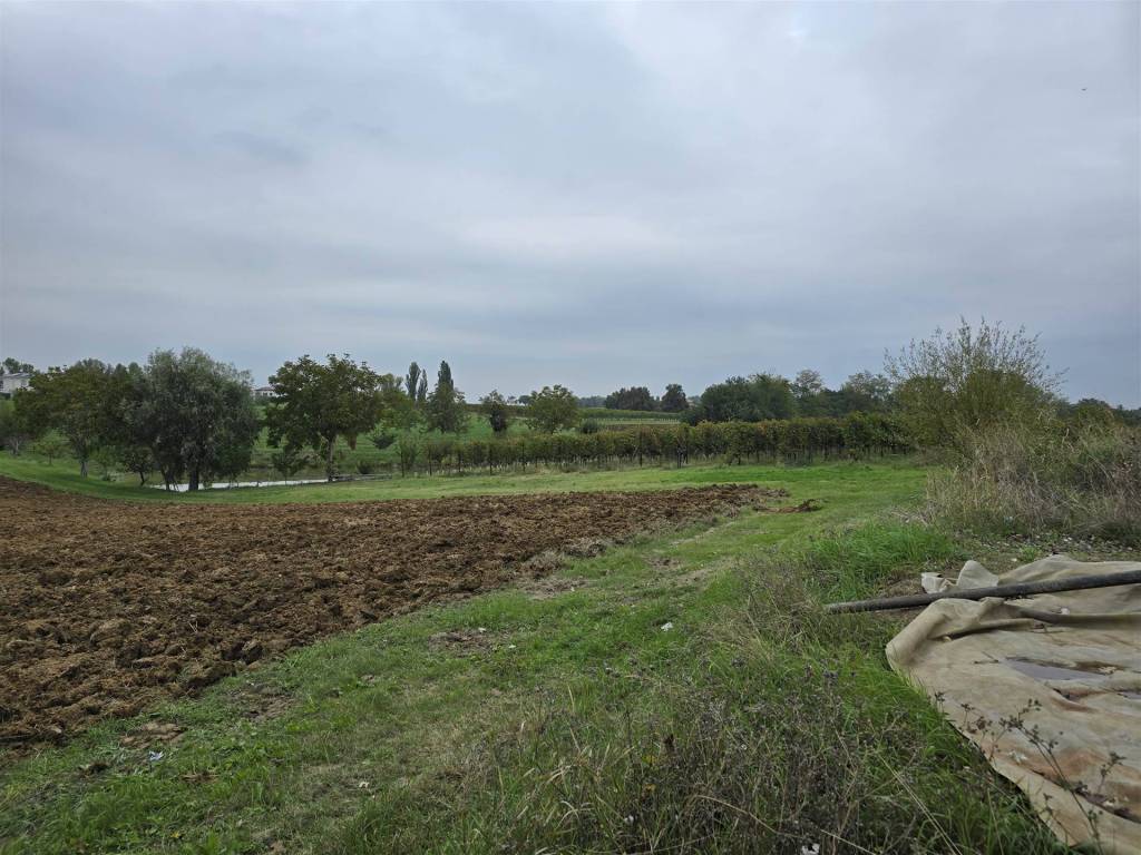 Rustico / casale a Castelvetro di modena - Foto 2