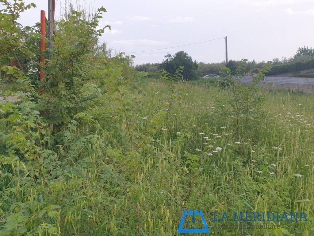 Terreno a Lamporecchio - Foto 2