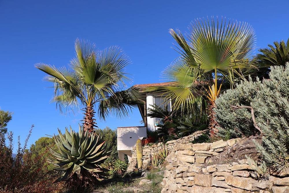 Villa a Vallebona - Foto 2