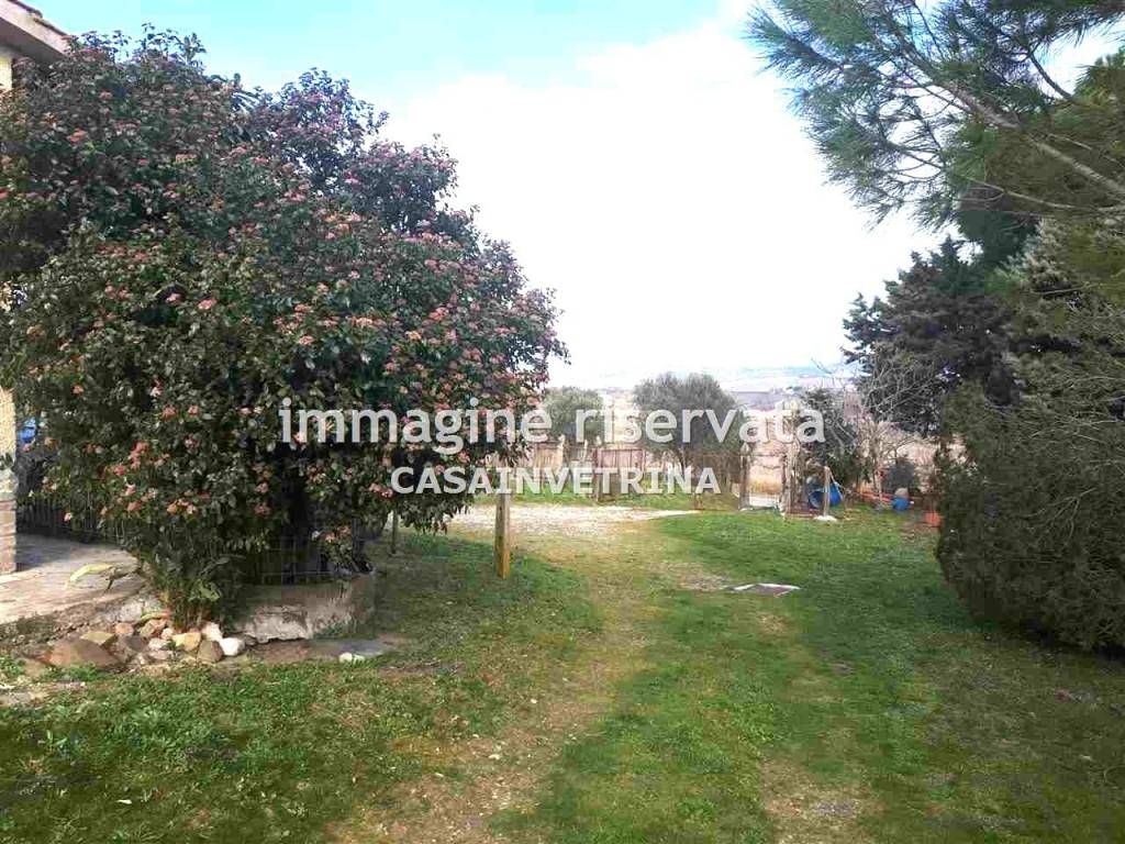 Rustico / casale a Cinigiano in PODERE IL TORDO , - Foto 4