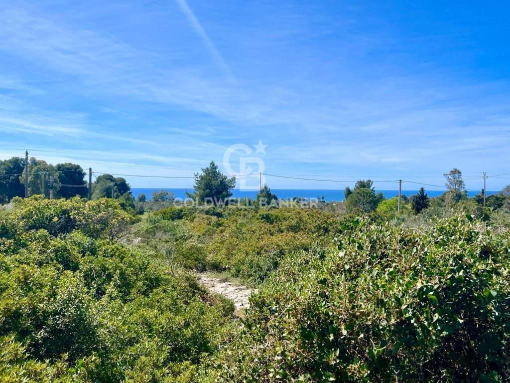 Terreno a Salve in Via Celle - Foto 5