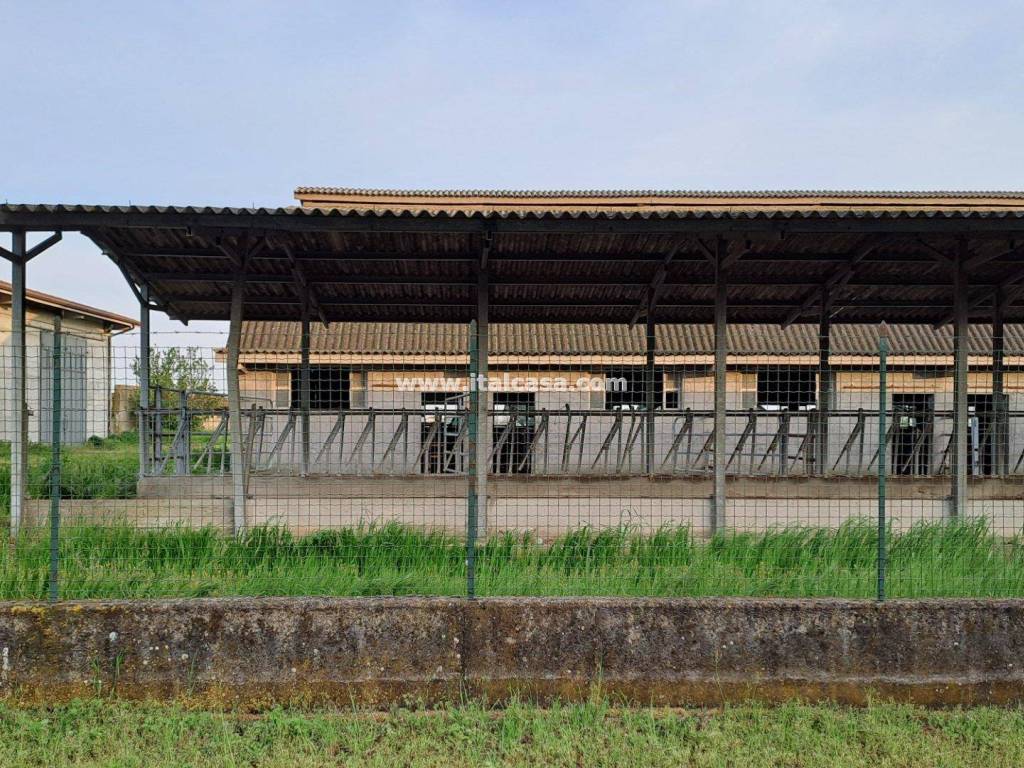 Immobile a Roverbella - Foto 3