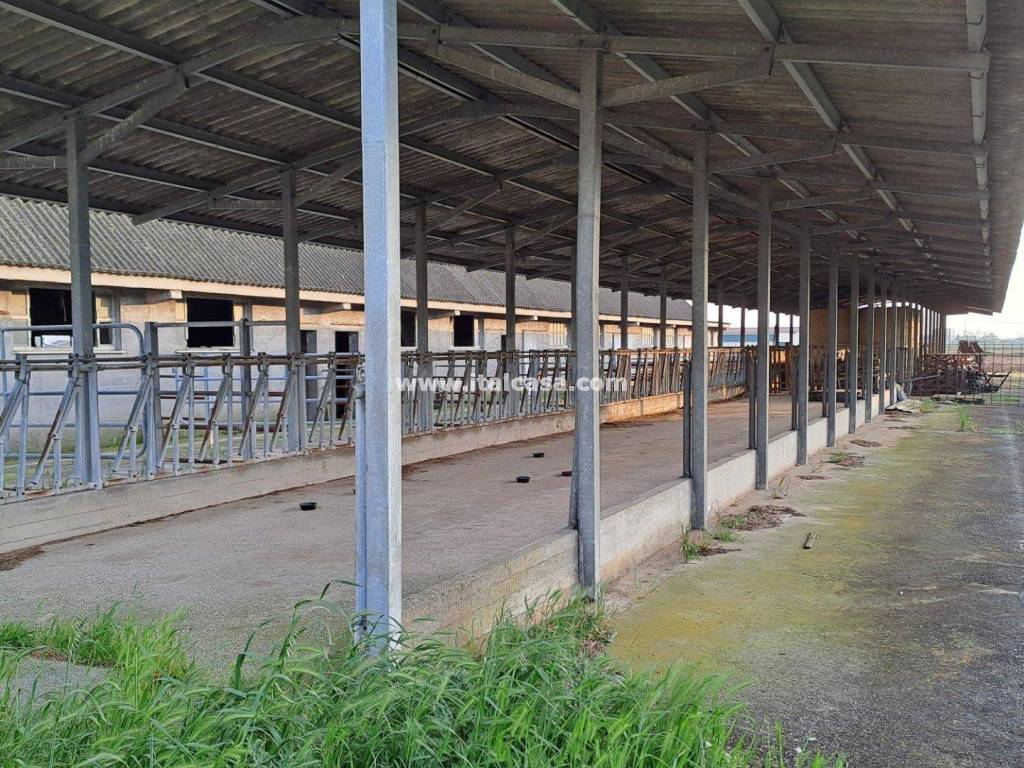 Immobile a Roverbella - Foto 5