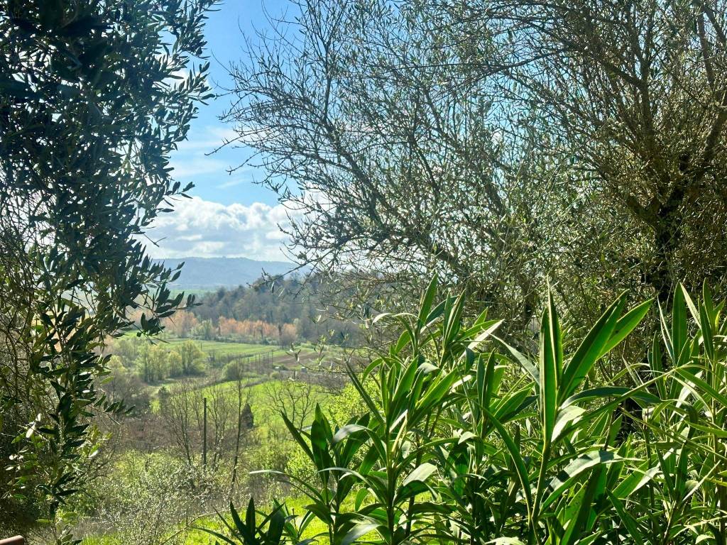 Rustico / casale a Città della pieve in Via Vannucci, 103 - Foto 5