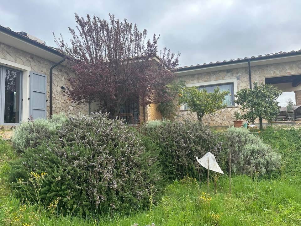 Rustico / casale a Manciano - Foto 5