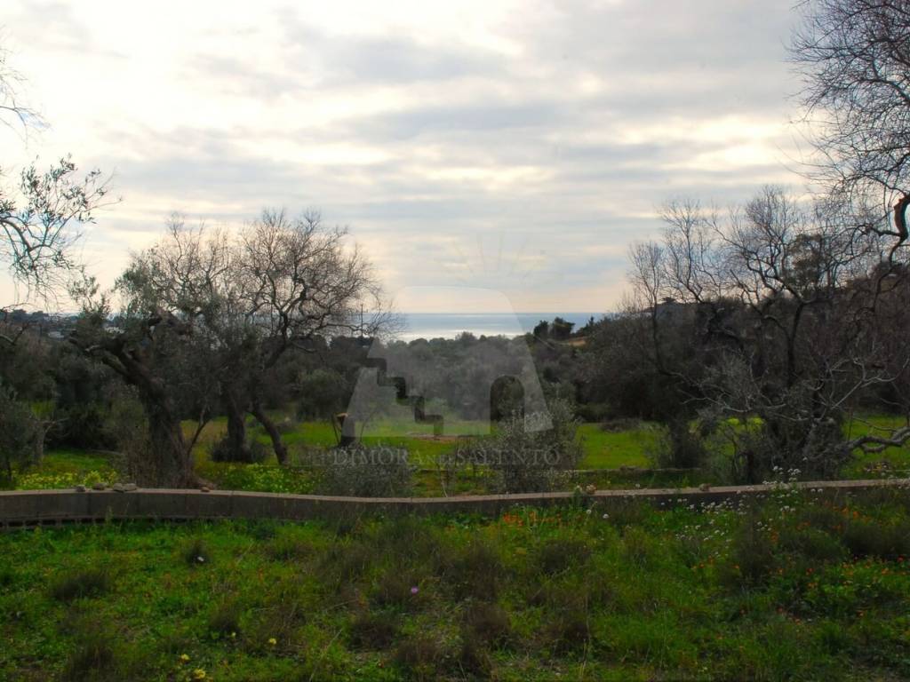 Terreno a Castrignano del capo in Via Volito 2 - Foto 2