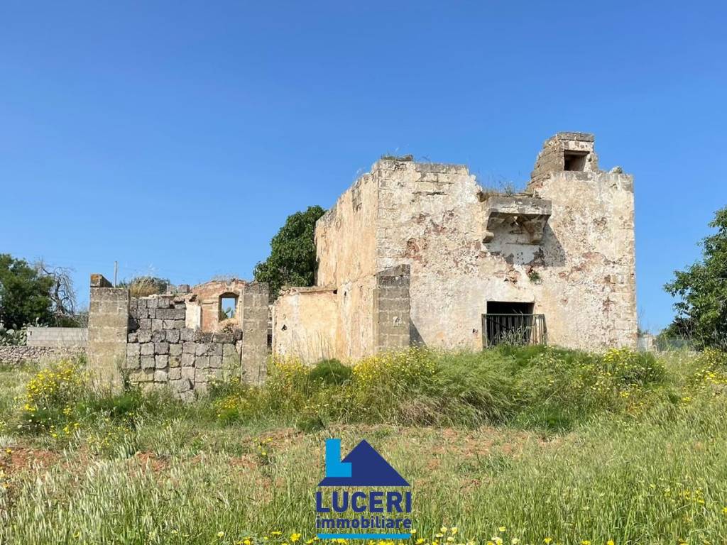 Rustico / casale a Sannicola in SP52 - Foto 2