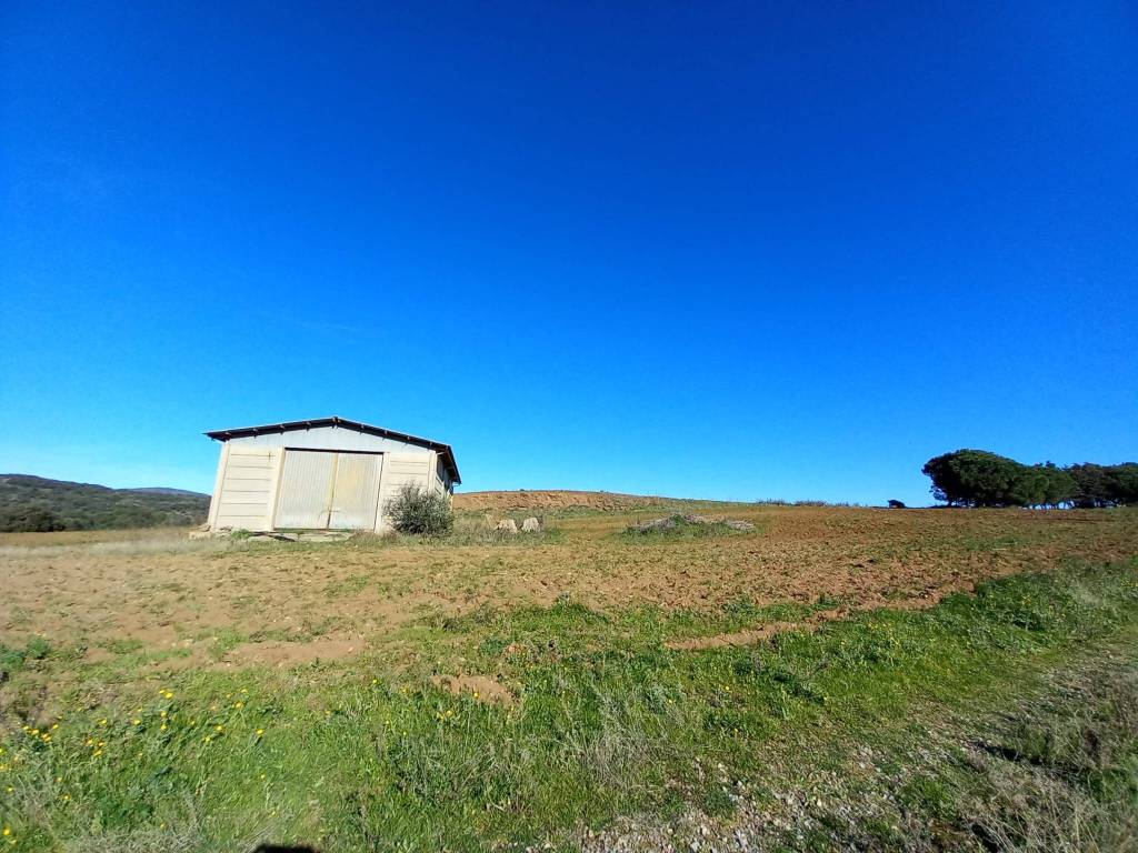 Loft / open space a Capalbio in Strada Pedemontana, 93 - Foto 3