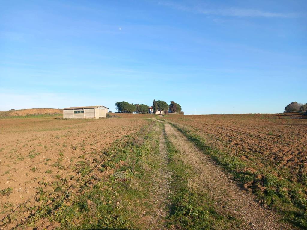 Loft / open space a Capalbio in Strada Pedemontana, 93 - Foto 4