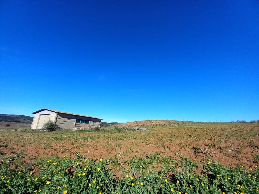 Loft / open space a Capalbio in Strada Pedemontana, 93 - Foto 5