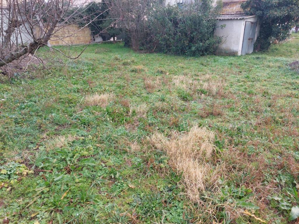 Casa indipendente a Senigallia in Via Arceviese, 120 - Foto 4