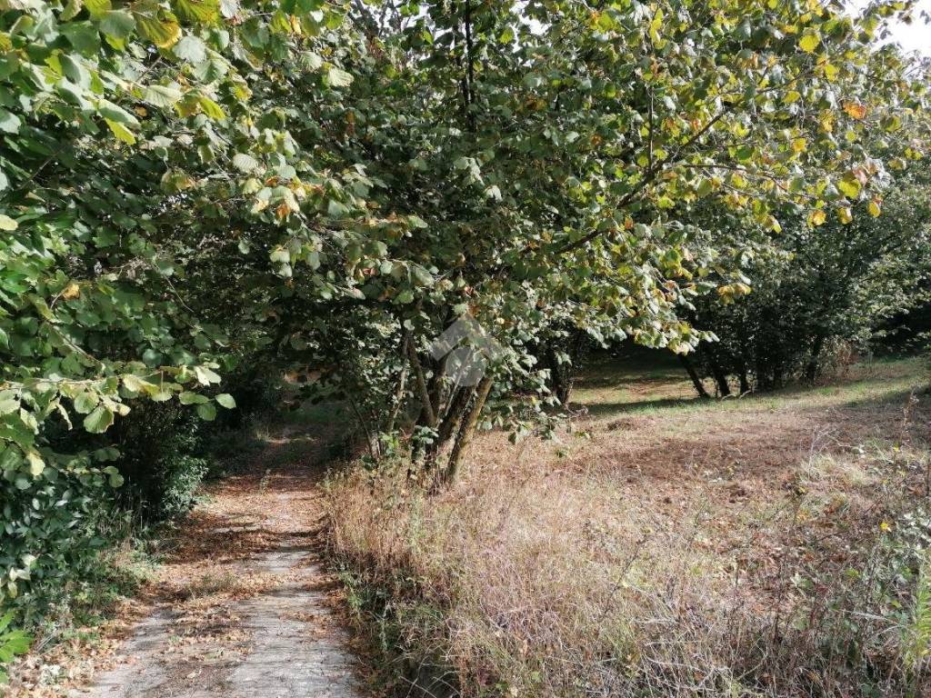 Casa indipendente a Avellino in CONTRADA ARCHI, 8 - Foto 5