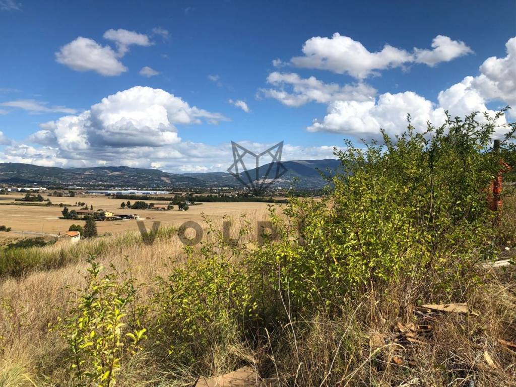 Terreno a Torgiano in Via Bastia - Foto 2