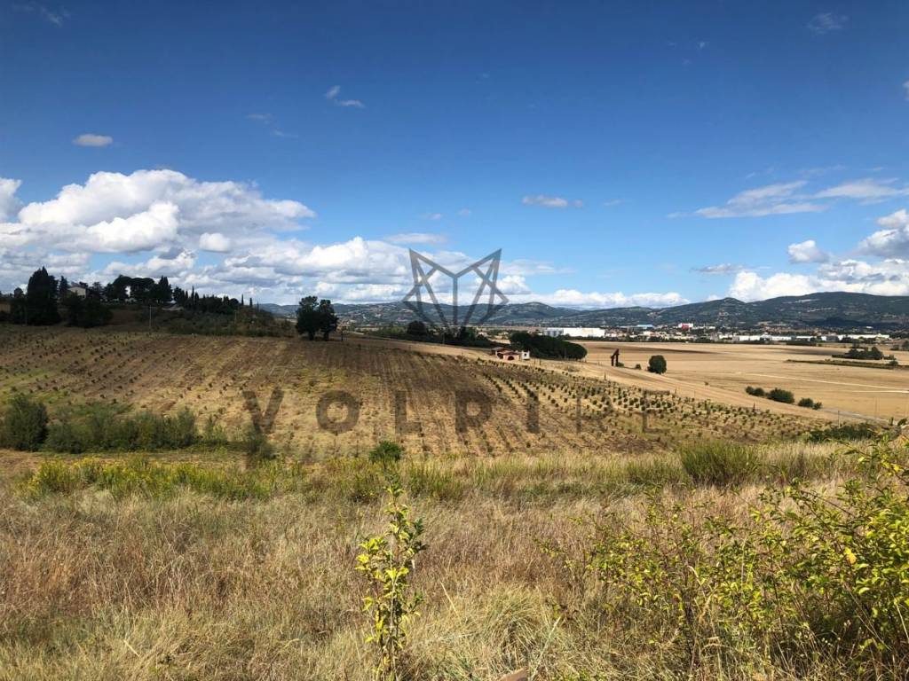 Terreno a Torgiano in Via Bastia - Foto 3